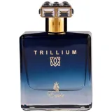 emir-trillium-eau-de-parfum-for-men-100-ml