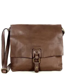 listonoszka-brazowa-marco-mazzini-v46n