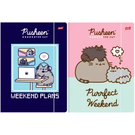 2-x-teczka-z-gumka-a4-pusheen-unipap-kazda-inna