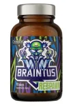 ostrovit-braintus-respawn-90-kaps-waga-z-opakowaniem-0-052-kg