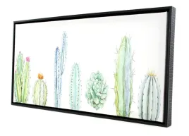 obraz-w-ramie-natura-kaktus-62x32cm-plotno