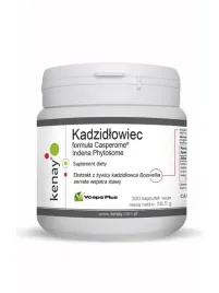 kenay-kadzidlowiec-casperome-indena-phytosome-300-kaps