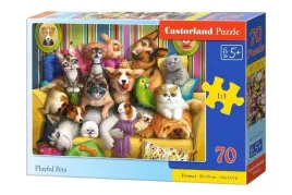 puzzle-70-playful-pets-castor