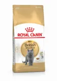 royal-british-shorthair-2kg