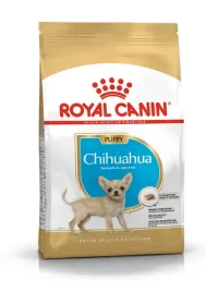 royal-mini-chihuahua-puppy-15kg