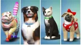 the-sims-4-psy-i-koty-pc-prezent-gra-stan-nowy-wydawca-inny