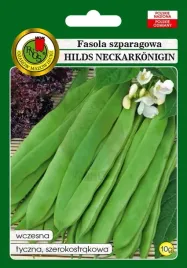 fasola-szparagowa-zielona-tyczna-hilds-neckarkonigin-10-g