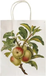 torebka-ozdobna-a5-stbag126-jablon