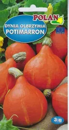 dynia-olbrzymia-potimarron-pomaranczowa-aromatyczna-nasiona-dyni-polan-3g
