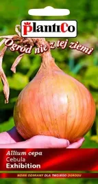cebula-exhibition-biala-lagodna-nasiona-cebuli-plantico-1g-odmiana-wczesna