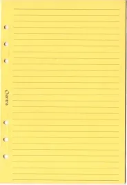 wklad-do-organizera-a5-linia-zolta