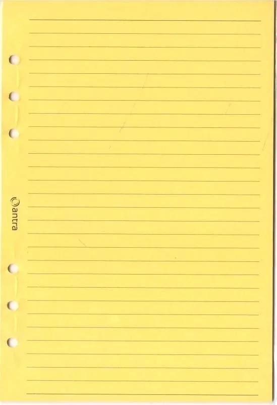 wklad-do-organizera-a5-linia-zolta