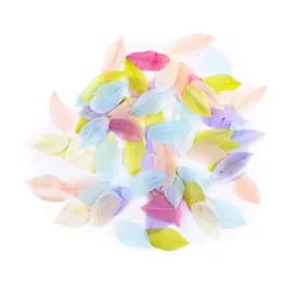 piora-gesie-pastel-6cm-5g-dpcraft-piorka-pastelowe-ozdobne-scrapbooking-diy