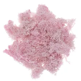 mech-rozowy-30g-dpcraft-ozdobny-dekoracyjny-reniferowy-home-decor-naturalny