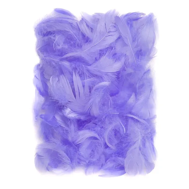 PIÓRKA PIÓRA DEKORACYJNE 10g fiolet 5-12cm ozdobne dpCraft fioletowe DIY