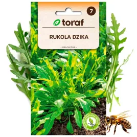 rukola-dzika-nasiona-ziola-roslina-wieloletnia-1-g
