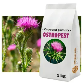 ostropest-plamisty-roslina-miododajna-1kg-gatunek-i-ziarno-na-poplon