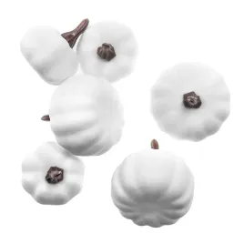 mini-dynie-mix-6-szt-biale-ozdoby-halloween-do-zdobienia-biala-dynia-jesien