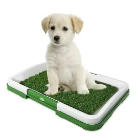 puppy-potty-pad-czyli-kuweta-mata-dla-psa-szczeniaka-ze-sztuczna-trawa