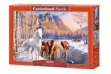 puzzle-500-winter-melt-castor