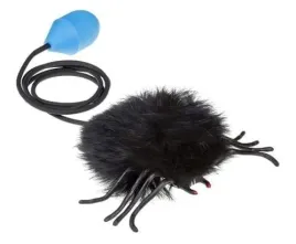 skaczacy-pajak-czarny