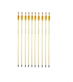 strzaly-do-luku-drewniane-10-sztuk-ostre-groty-survival