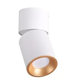 sanico-314260-platinum-oczko-przegubowe-natynkowe-nixa-gu10-bialo-zlote