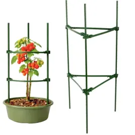 tyczka-podpora-do-roslin-trojkatna-60-cm-stabilna-ogrod-dzialka