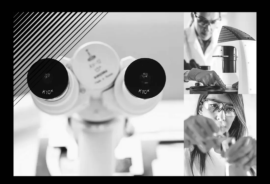 soft99-smooth-egg-liquid-250ml-quick-detailer-qd