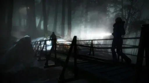 until-dawn-pl-ps4-gratis-gra-na-konsole-wydawca-inny-stan-nowy