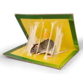 pulapka-lep-na-myszy-szczury-myszolapka-silny-klej-mocna-lapka-24-x-17-cm