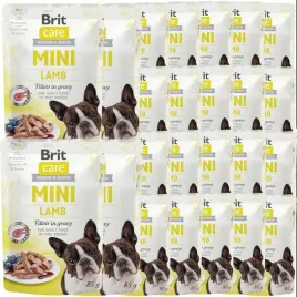 brit-care-mini-pouch-lamb-24x85g