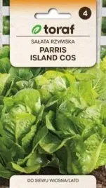 salata-rzymska-parris-island-cos-wiosna-lato-caloroczna-nasiona-toraf-128