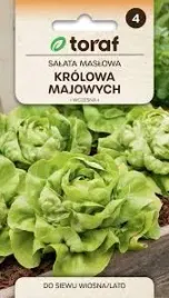 salata-maslowa-wczesna-krolowa-majowych-nasiona-2g-toraf-126