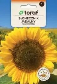 slonecznik-jadalny-ogrodowy-nasiona-10g