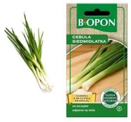biopon-nasiona-cebula-siedmiolatka-05g-szczypior