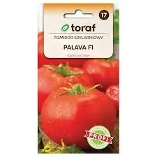 pomidor-szklarniowy-palava-f1-nasion-toraf-108