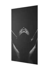 grzejnik-z-obrazem-art-big1-545x1570