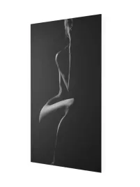 grzejnik-z-obrazem-art-big3-545x1570