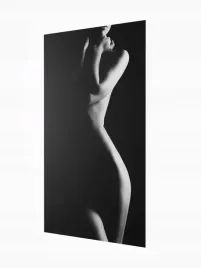 grzejnik-dekoracyjny-z-obrazem-art27-545x970
