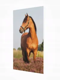grzejnik-dekoracyjny-z-obrazem-art6-545x970