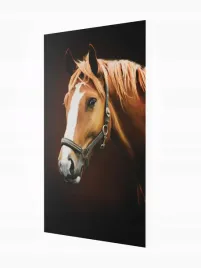 grzejnik-dekoracyjny-z-obrazem-art5-545x970