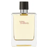 hermes-terre-d-hermes-edt-100ml