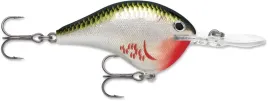 rapala-wobler-dt-12-dives-to-6cm-17g-kolor-bleeding-olive-shiner
