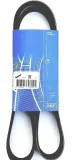 skf-vkmv-6pk1572-pasek-klinowy-wielorowkowy-numer-katalogowy-oryginalu-audi-06b-903-137-j-audi-06d-903-137-c-chrysler-04792070-chrysler-04792070ac-chrysler-04792442-chrysler-04792442aa-chrysler-4792070-chrysler-5086571aa-ford-1040760-ford-7239510-ford-95wf-6c301-eb-ford-97wf-6c301-ba-seat-06b-903-137-j-seat-06d-903-137-c-skoda-06b-903-137-j-skoda-06d-903-137-c-suzuki-49181-65d40-vw-svw-l06b-903-137-j-vw-06b-903-137-j-vw-06d-903-137-c
