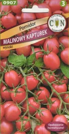pomidor-malinowy-kapturek-koktajlowy-400-500-szt-z-krzaka