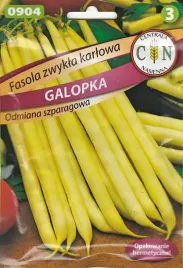 fasola-galopka-szparagowa-karlowa-krzaczasta-b-plenna-straki-proste-lekko