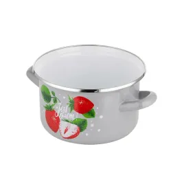 garnek-emaliowany-emalia-polska-pleszew-dzem-16-cm-21-l