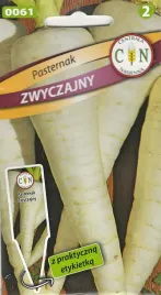 pasternak-zwyczajny-b-dobry-odporny-na-mrozy-duzo-wartosci-odzywczych
