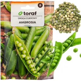groszek-cukrowy-groch-ambrosia-wczesny-nasiona-grochu-groszku-plenny-50g